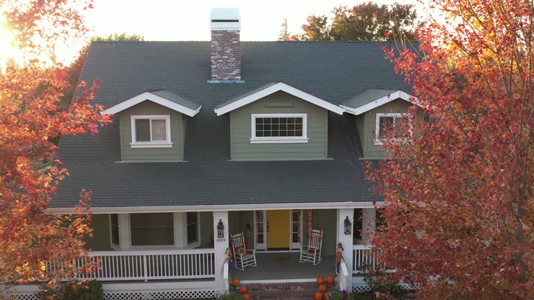 Best Skylight Installation and Repair  in Green Knoll, NJ