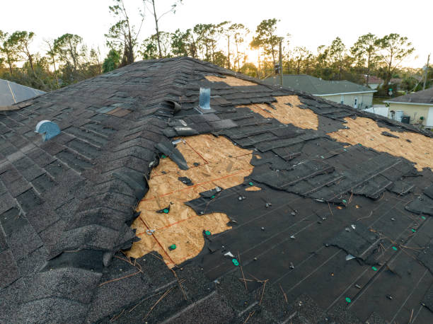 Best Steel Roofing  in Green Knoll, NJ